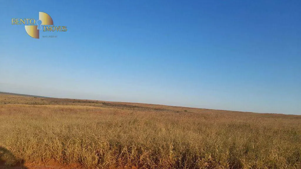 Farm for sale and to rent of 22,239 acres in Tangará da Serra, MT, Brazil