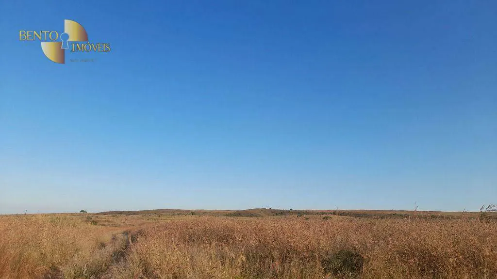 Farm for sale and to rent of 22,239 acres in Tangará da Serra, MT, Brazil