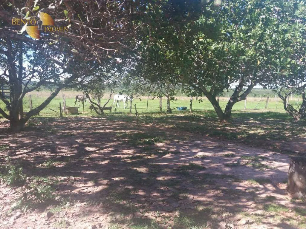 Fazenda à venda de 1.258 ha em Barra do Garças, MT, Brasil