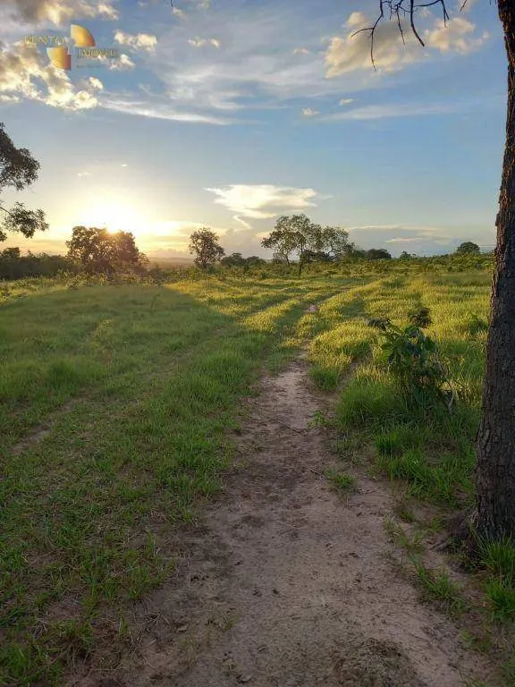 Fazenda à venda de 1.258 ha em Barra do Garças, MT, Brasil