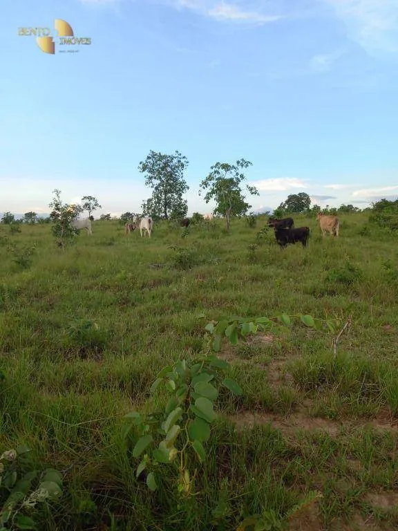 Fazenda à venda de 1.258 ha em Barra do Garças, MT, Brasil
