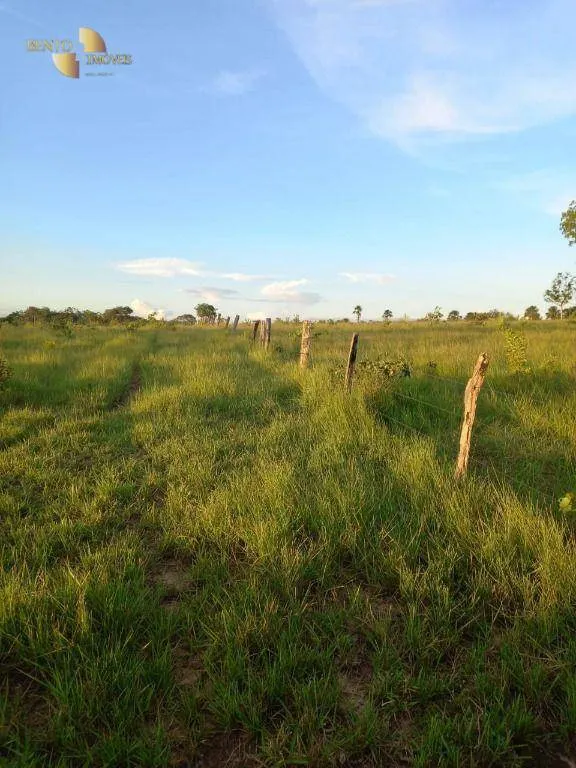 Fazenda à venda de 1.258 ha em Barra do Garças, MT, Brasil