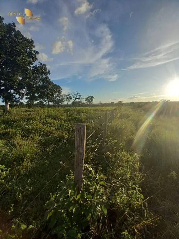 Fazenda à venda de 1.258 ha em Barra do Garças, MT, Brasil