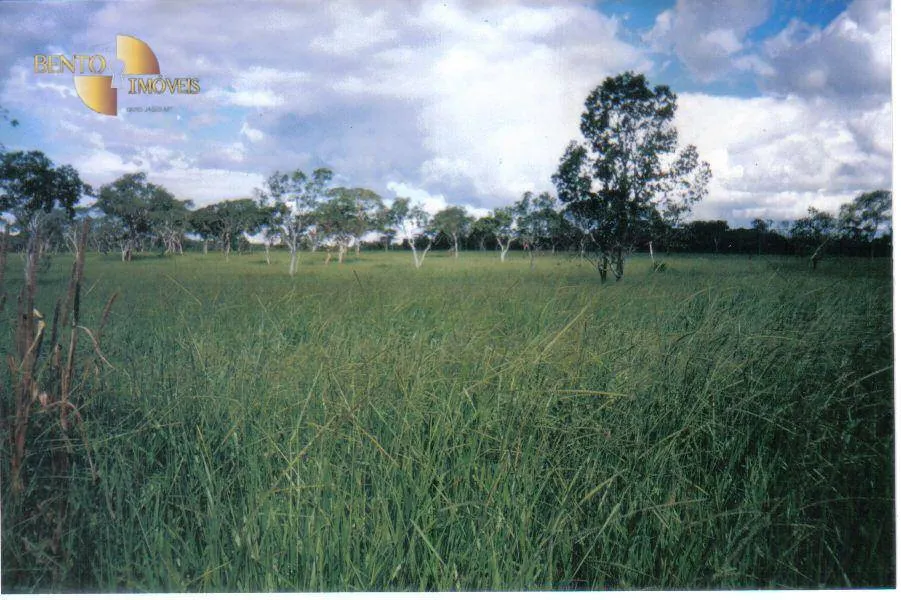Fazenda à venda de 1.258 ha em Barra do Garças, MT, Brasil