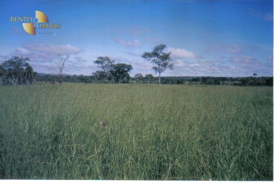 Fazenda à venda de 1.258 ha em Barra do Garças, MT, Brasil