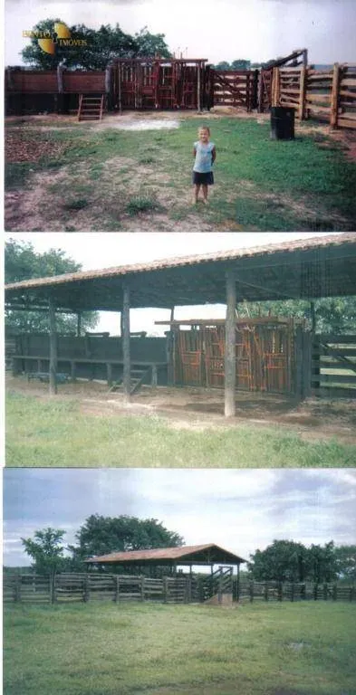 Fazenda à venda de 1.258 ha em Barra do Garças, MT, Brasil