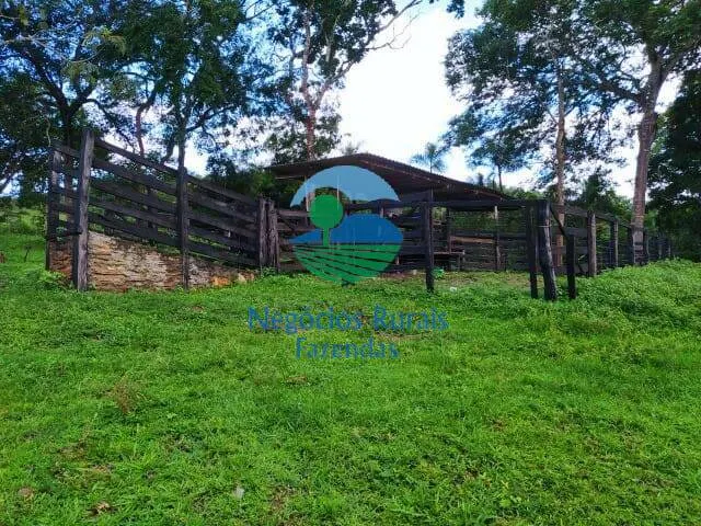 Small farm for sale of 237 acres in Hidrolândia, GO, Brazil