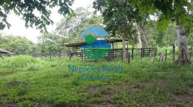 Small farm for sale of 237 acres in Hidrolândia, GO, Brazil