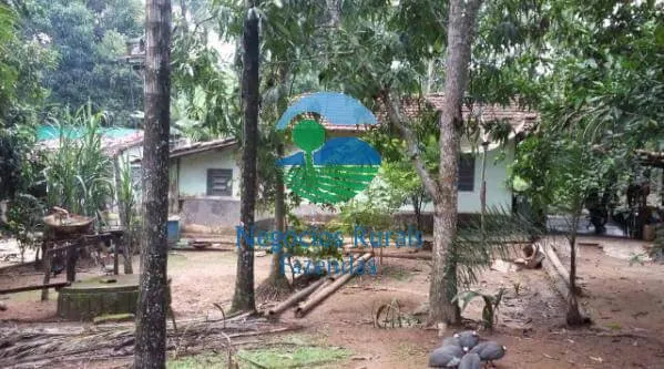 Small farm for sale of 237 acres in Hidrolândia, GO, Brazil