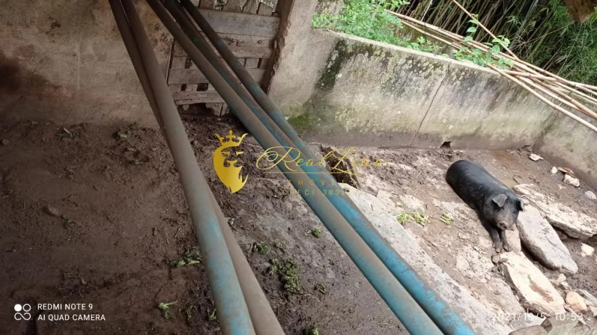 Sítio à venda de 27 ha em Joanópolis, SP, Brasil