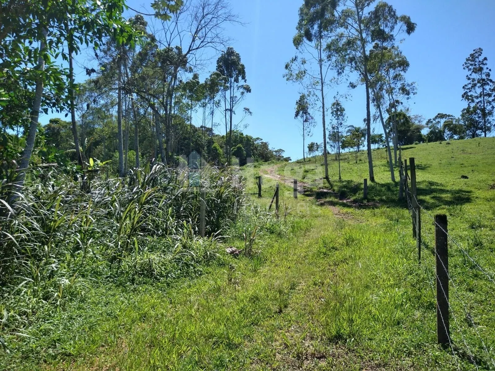 Plot for sale of 2 acres in Ilhota, SC, Brazil