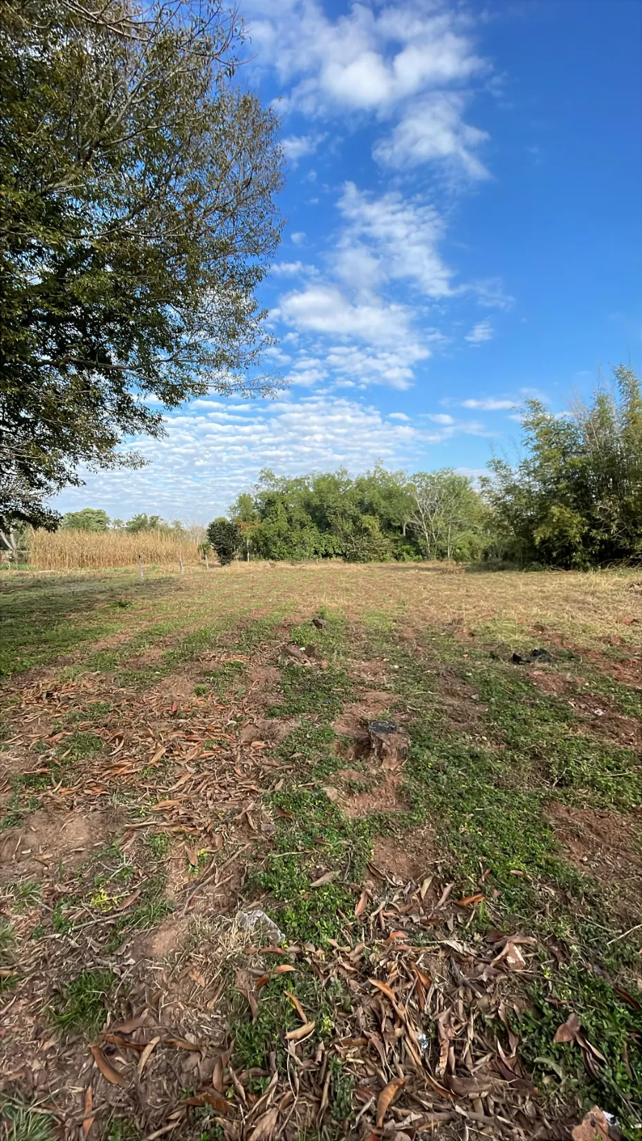 Fazenda à venda de 2 ha em Eusebio Ayala, Paraguai