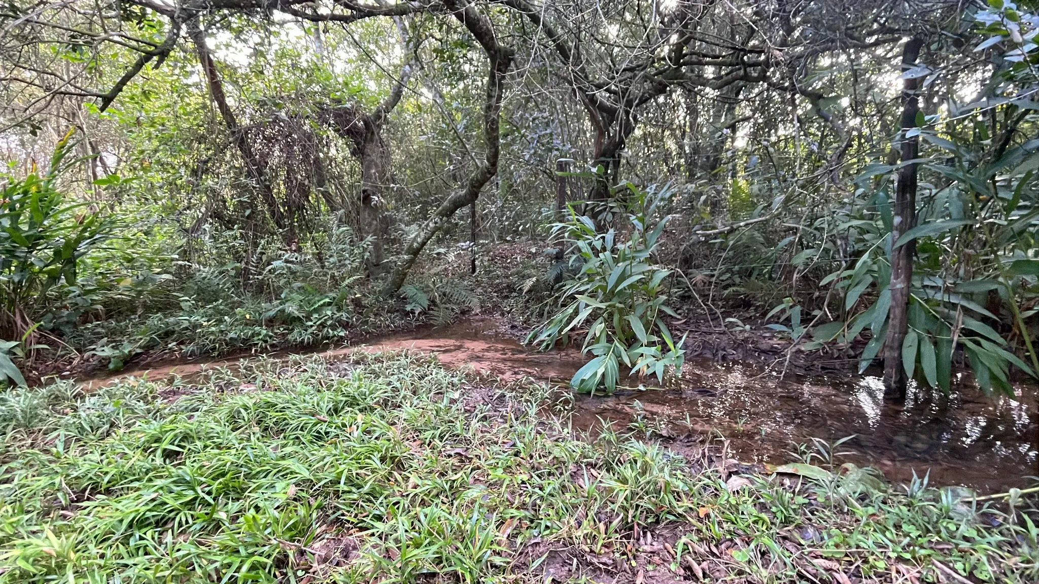 Fazenda à venda de 2 ha em Eusebio Ayala, Paraguai