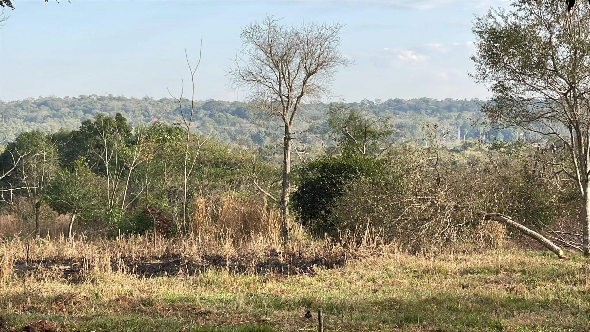 Fazenda à venda de 2 ha em Eusebio Ayala, Paraguai