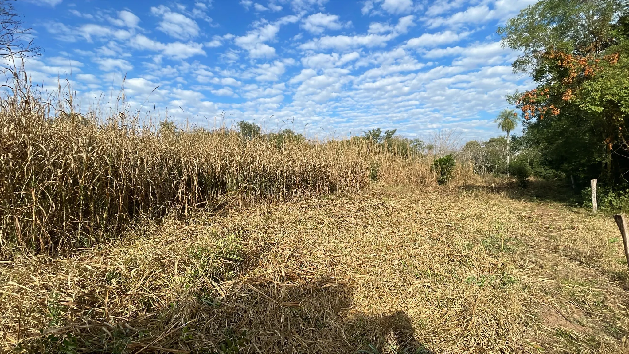 Fazenda à venda de 2 ha em Eusebio Ayala, Paraguai