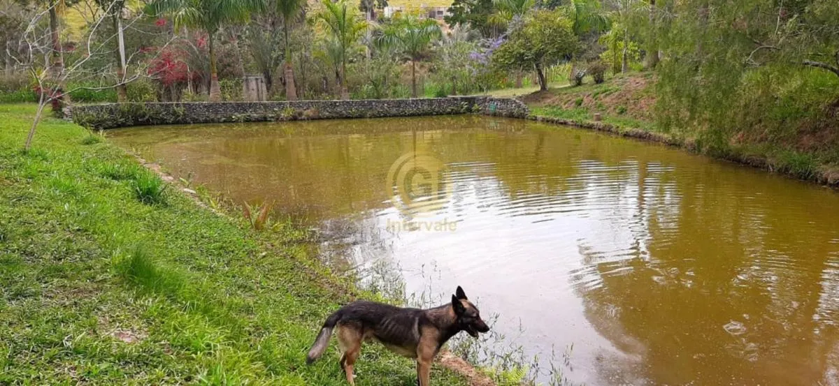 Sítio à venda de 9 ha em Jacareí, SP, Brasil