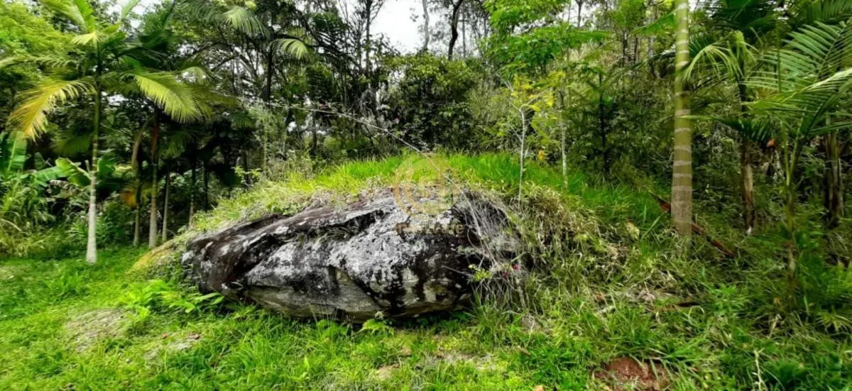 Sítio à venda de 9 ha em Jacareí, SP, Brasil