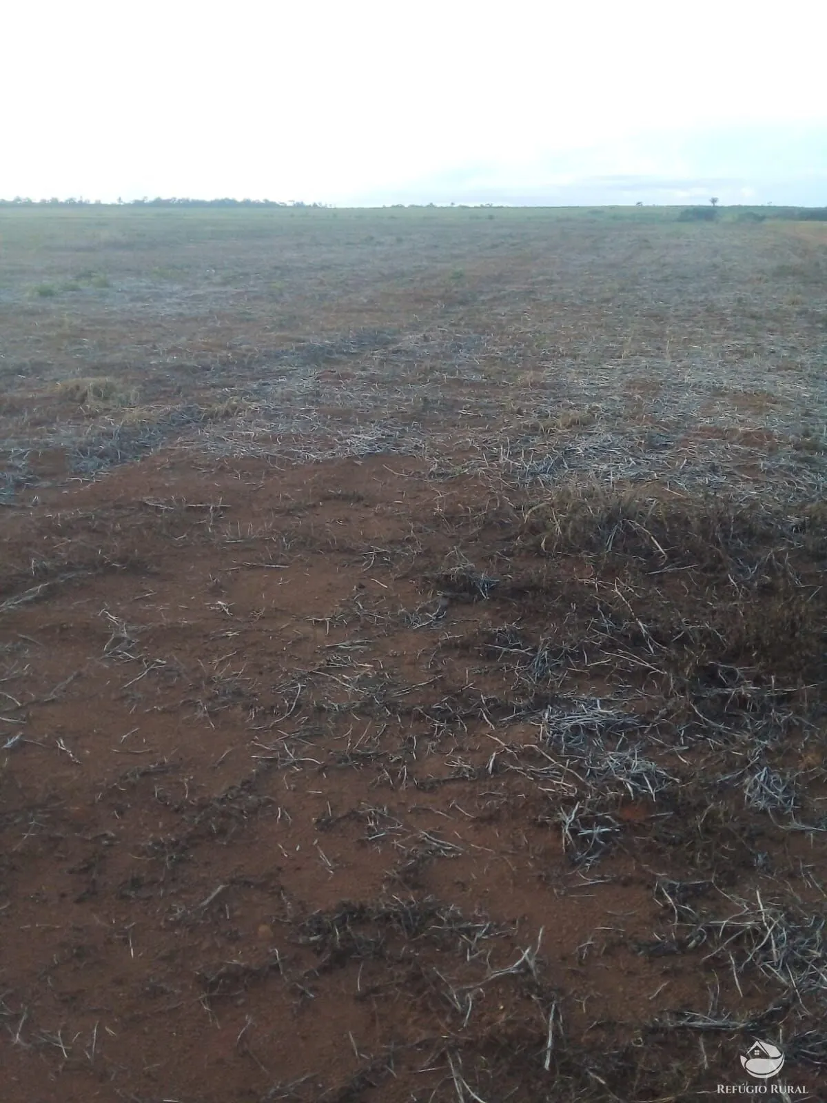 Sítio à venda e para Arrendar de 50 ha em Peixoto de Azevedo, MT, Brasil