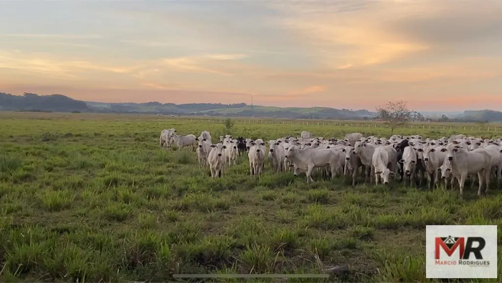 Fazenda à venda de 175 ha em Careaçu, MG, Brasil