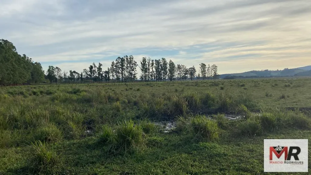 Fazenda à venda de 175 ha em Careaçu, MG, Brasil