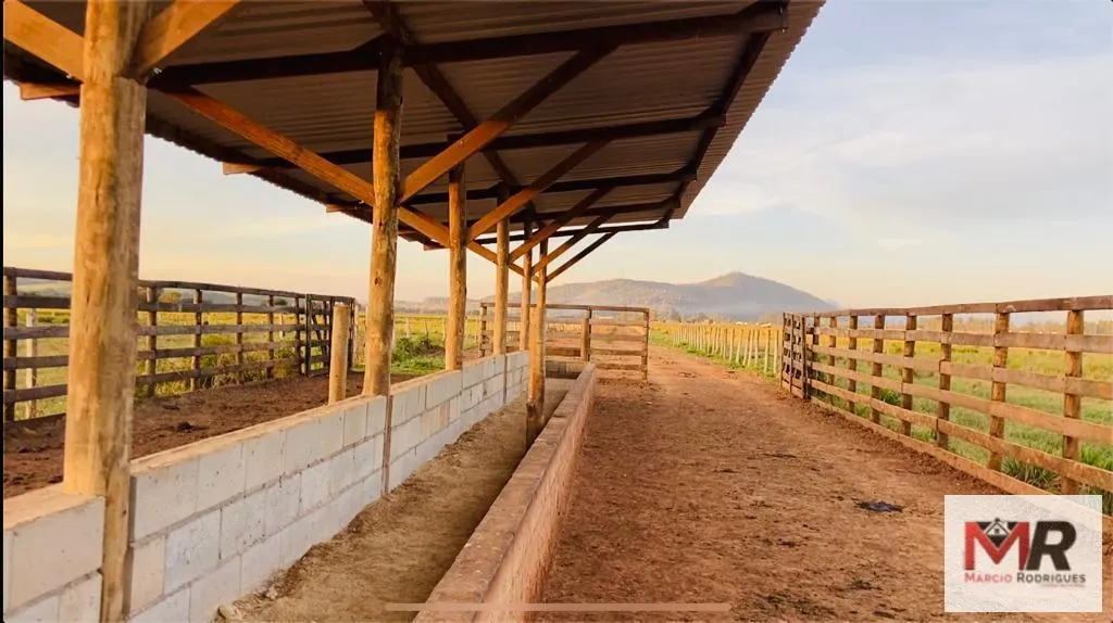 Fazenda à venda de 175 ha em Careaçu, MG, Brasil