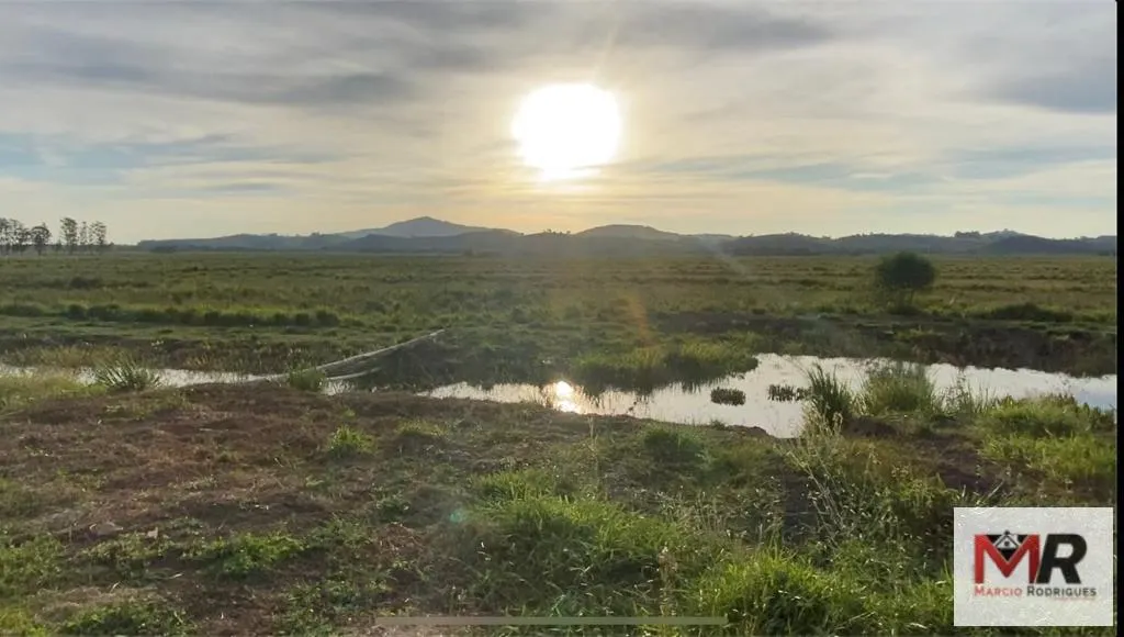 Fazenda à venda de 175 ha em Careaçu, MG, Brasil