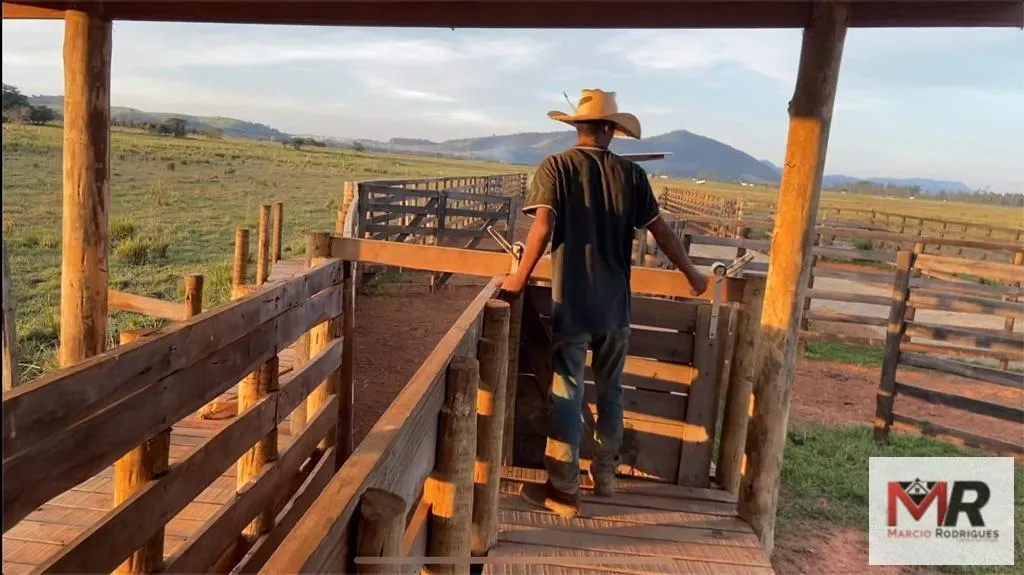 Fazenda à venda de 175 ha em Careaçu, MG, Brasil