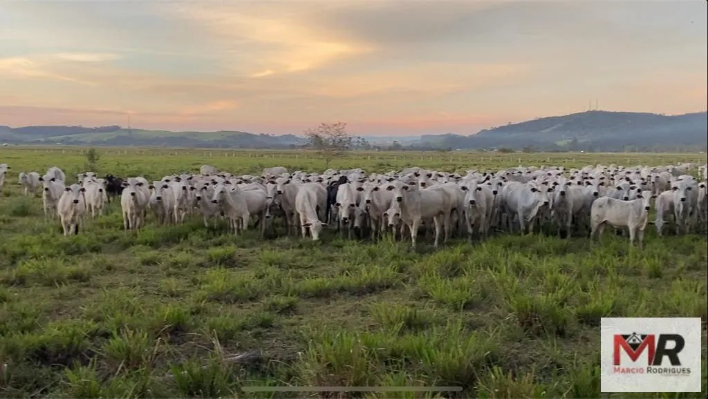 Fazenda à venda de 175 ha em Careaçu, MG, Brasil
