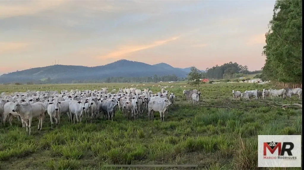 Fazenda à venda de 175 ha em Careaçu, MG, Brasil