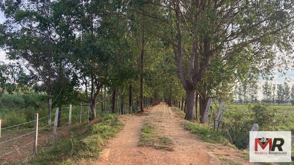Fazenda à venda de 175 ha em Careaçu, MG, Brasil