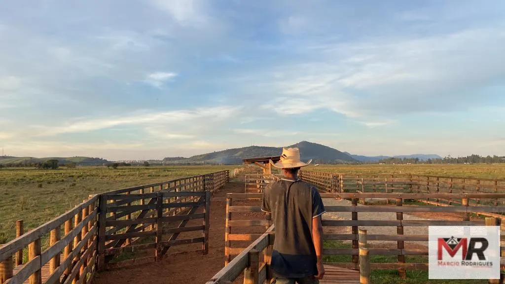 Fazenda à venda de 175 ha em Careaçu, MG, Brasil