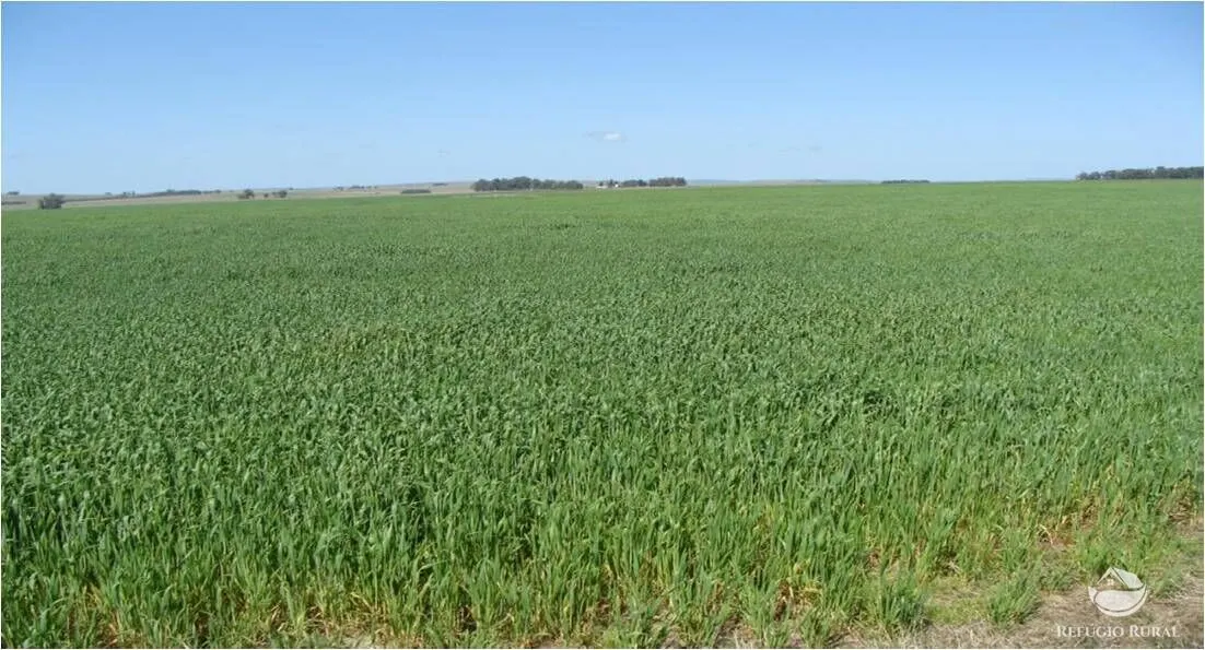 Fazenda à venda de 9.112 ha em Santana do Livramento, RS, Brasil