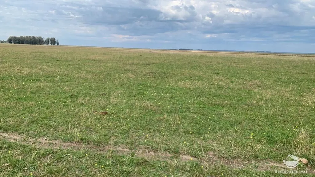 Fazenda à venda de 9.112 ha em Santana do Livramento, RS, Brasil