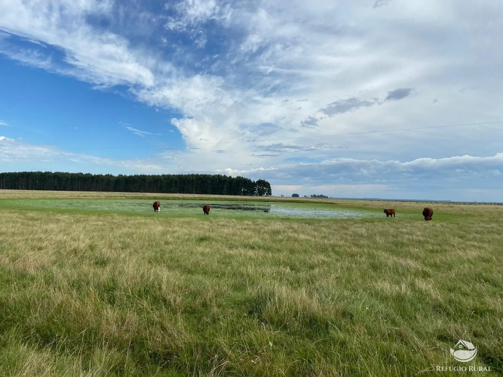 Fazenda à venda de 9.112 ha em Santana do Livramento, RS, Brasil
