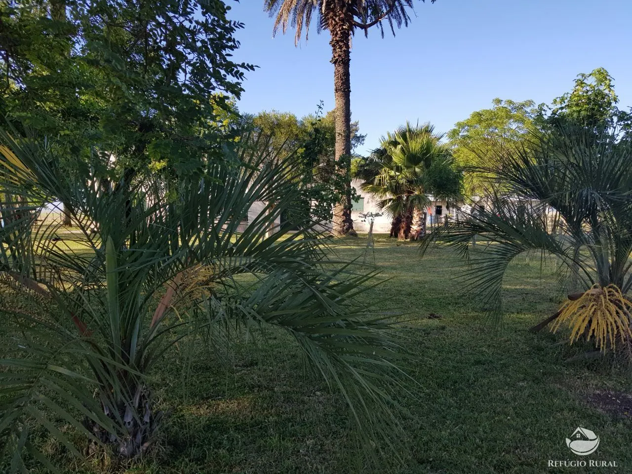 Fazenda à venda de 9.112 ha em Santana do Livramento, RS, Brasil