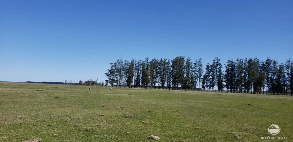Fazenda à venda de 9.112 ha em Santana do Livramento, RS, Brasil