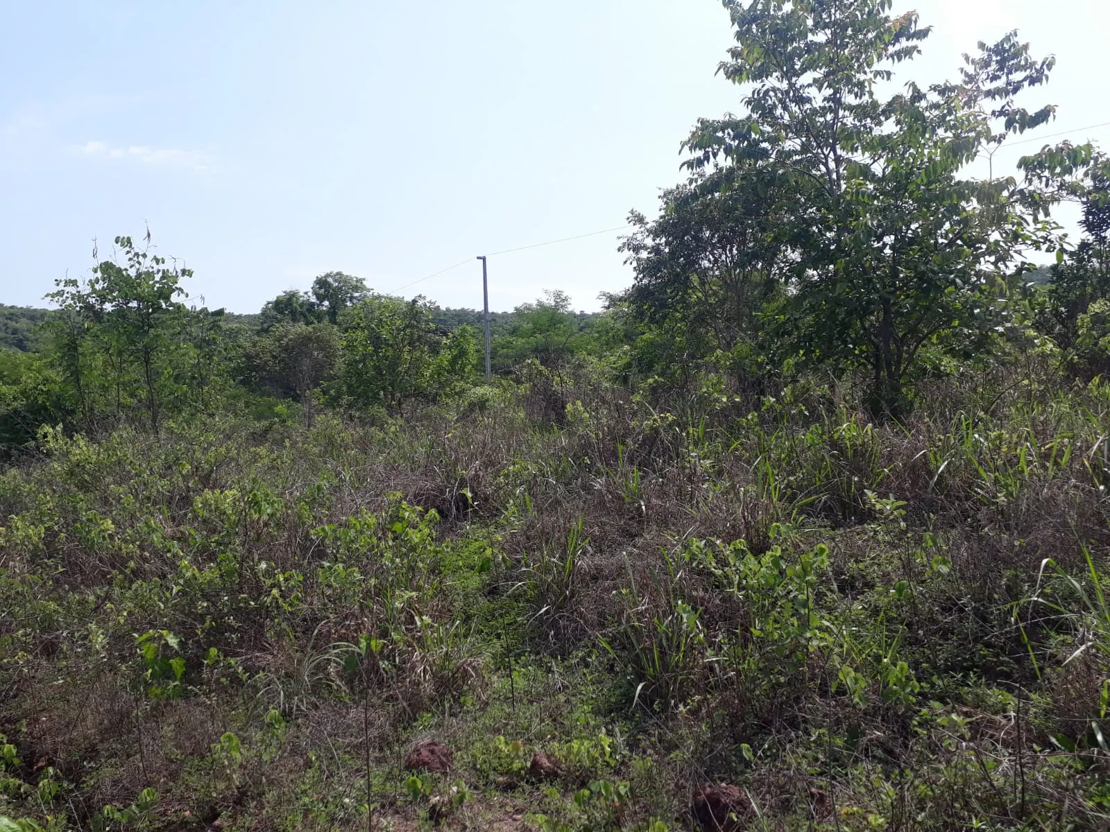 Fazenda à venda de 1.007 ha em Monte Santo do Tocantins, TO, Brasil