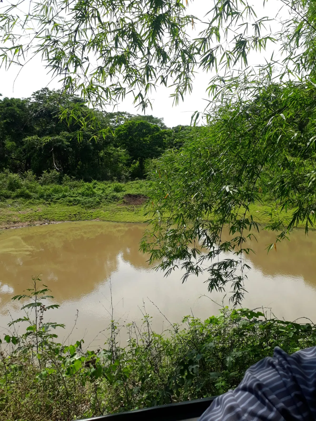 Fazenda à venda de 1.007 ha em Monte Santo do Tocantins, TO, Brasil