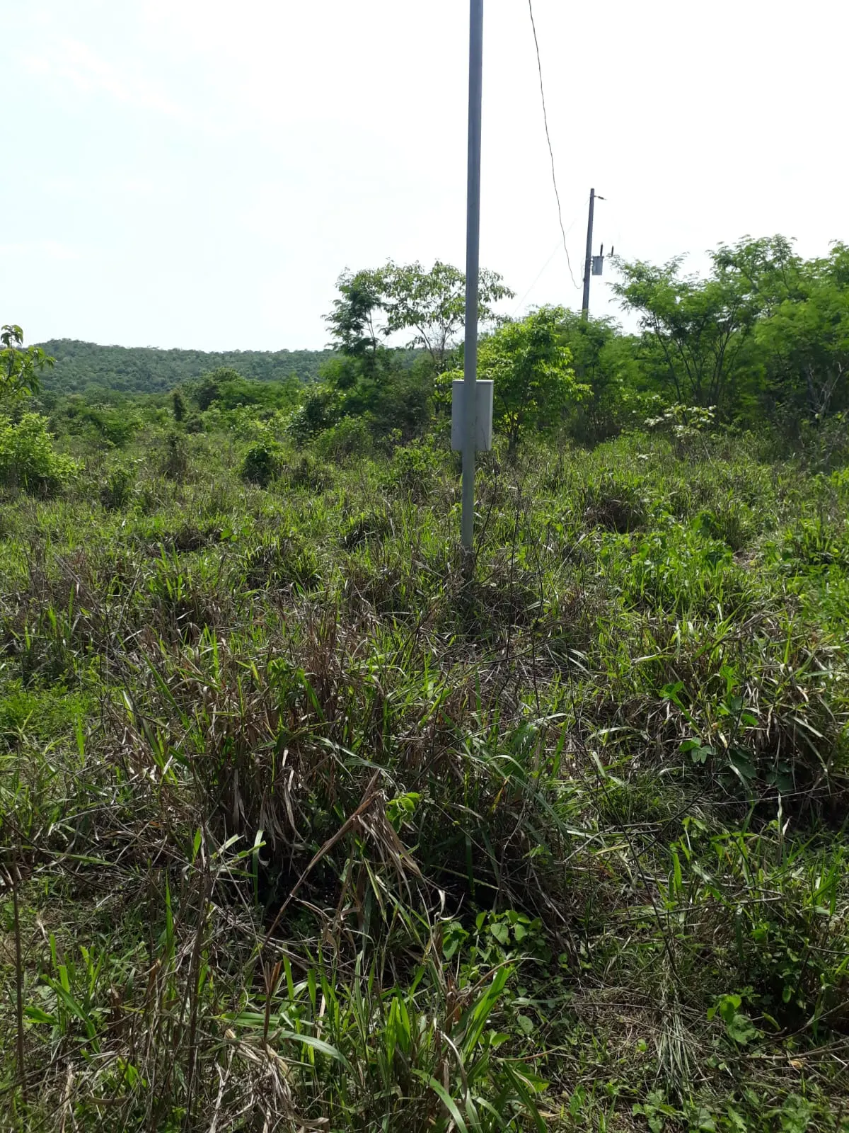 Fazenda à venda de 1.007 ha em Monte Santo do Tocantins, TO, Brasil