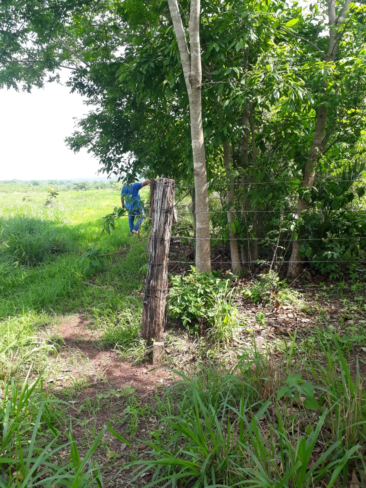 Fazenda à venda de 1.007 ha em Monte Santo do Tocantins, TO, Brasil