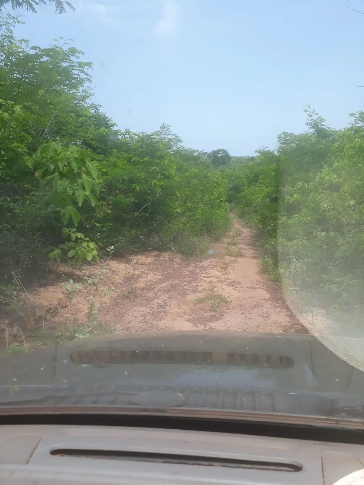 Fazenda à venda de 1.007 ha em Monte Santo do Tocantins, TO, Brasil