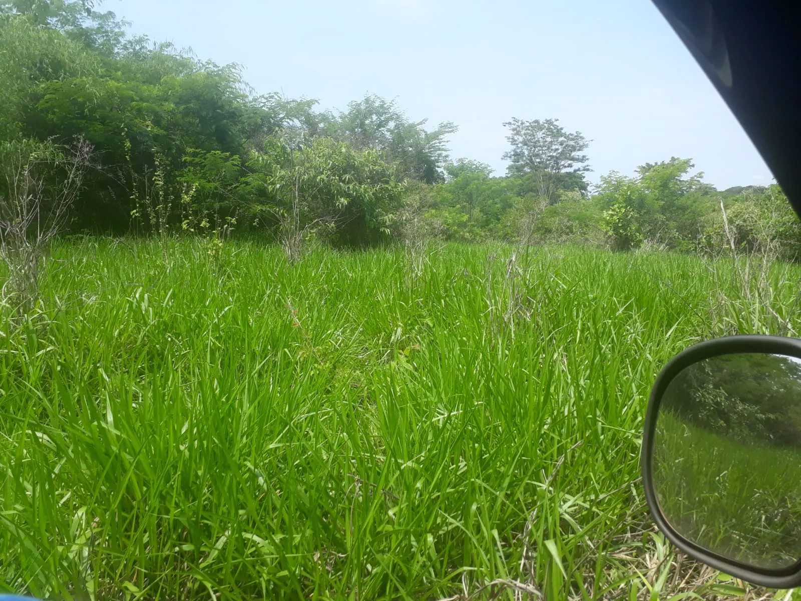 Fazenda à venda de 1.007 ha em Monte Santo do Tocantins, TO, Brasil
