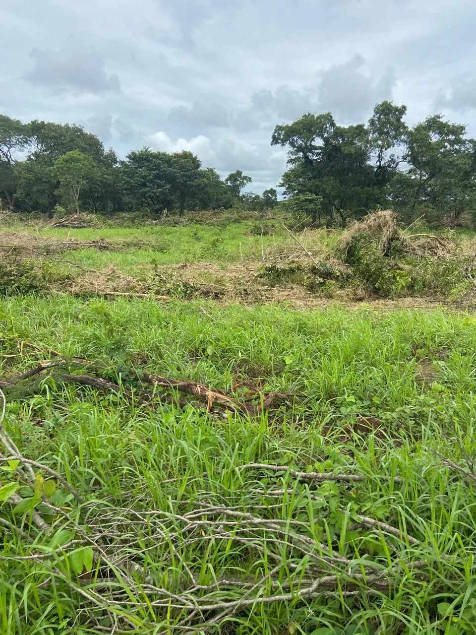 Fazenda à venda de 1.007 ha em Monte Santo do Tocantins, TO, Brasil