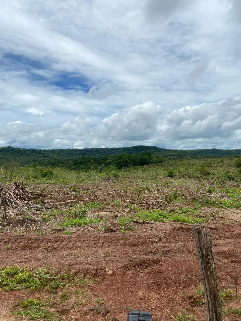 Fazenda à venda de 1.007 ha em Monte Santo do Tocantins, TO, Brasil