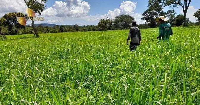 Fazenda à venda de 1.140 ha em Torixoréu, MT, Brasil