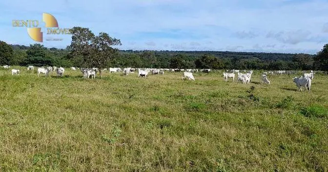 Fazenda à venda de 1.140 ha em Torixoréu, MT, Brasil