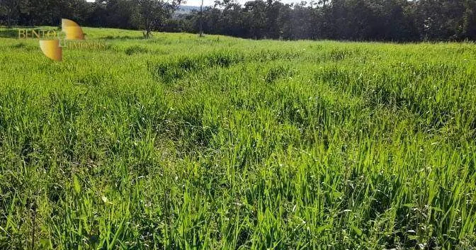Fazenda à venda de 1.140 ha em Torixoréu, MT, Brasil