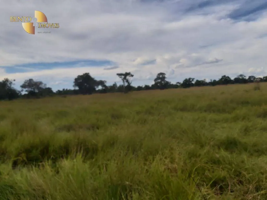 Sítio à venda de 86 ha em Santo Antônio do Leverger, MT, Brasil
