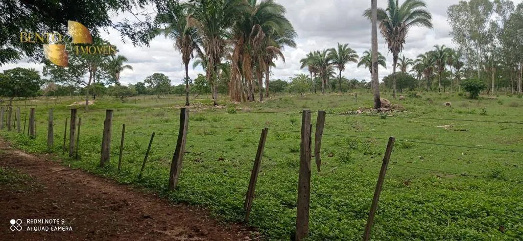 Sítio à venda de 86 ha em Santo Antônio do Leverger, MT, Brasil