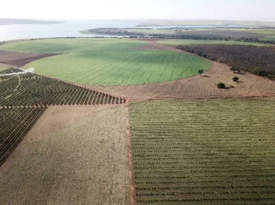Fazenda à venda e para Arrendar de 158 ha em Cardoso, SP, Brasil